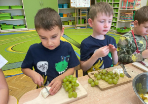 Samo zdrowie owocowe – sałatka w grupie VI