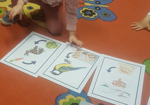 Co można robić zimą? Zajęcia sensoryczne w grupie II