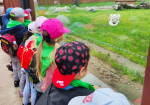 Dzień Dziecka w Zoo Safari w Borysewie – grupa XII