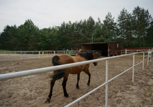 Dzień Rodziny w grupie IX
