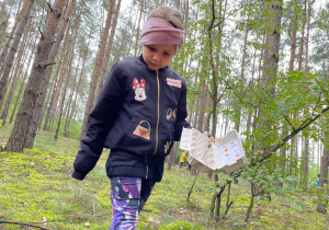 "Z naturą za pan brat..." czyli świętujemy Dzień Chłopca w "ŻArtowni"- gr. XI i XII