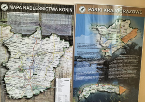 Spotkanie z leśnikiem - Wycieczka do Nadleśnictwa w Koninie - gr. IX i X