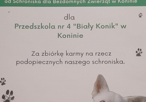 Zbiórka karmy i akcesoriów dla zwierząt w Koninie