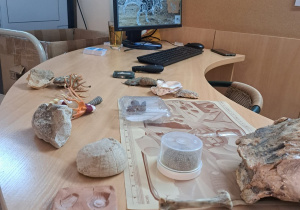 „Zostań paleontologiem”- warsztaty paleontologiczne w Muzeum Okręgowym w Gosławicach - grupa VII