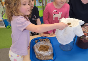 "Dbajmy o naszą planetę..." - projekt edukacyjne w grupie IX