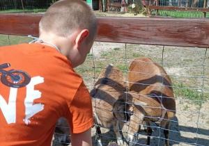 Galeria Wycieczka grupy VIII do Malinowego Grodu w Zgierzu