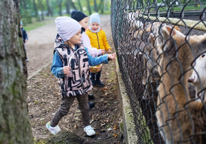 "W poszukiwaniu Pani Jesieni..."- wycieczka do parku- gr. XI i XII