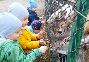 "W poszukiwaniu Pani Jesieni..."- wycieczka do parku- gr. XI i XII