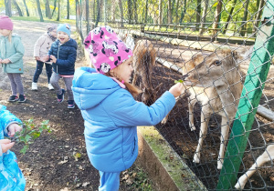 "W poszukiwaniu Pani Jesieni..."- wycieczka do parku- gr. XI i XII