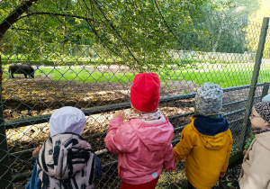 "W poszukiwaniu Pani Jesieni..."- wycieczka do parku- gr. XI i XII