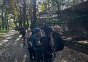 Z wizytą w parku - gr. II, IV, VII