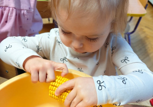 „Zmysłami poznajemy jesień"- projekt edukacyjny w gr. I