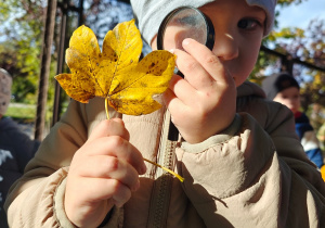 „Zmysłami poznajemy jesień"- projekt edukacyjny w gr. I