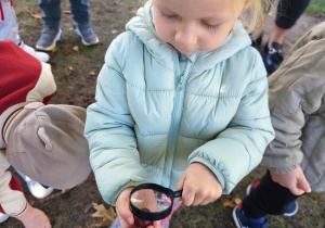 „Zmysłami poznajemy jesień"- projekt edukacyjny w gr. I