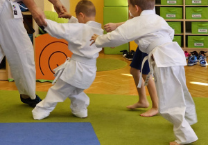 Zajęcia sportowe z trenerem AIKIDO- grupa VI