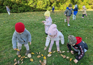 Małe smyki z grupy X w świecie przyrodniczej sensoryki – projekt edukacyjny cz. I JESIEŃ.