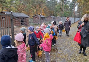 Jesienna wycieczka do parku w grupie IX