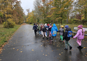 „Jesień jest piękna”- wycieczka do parku- grupa VI