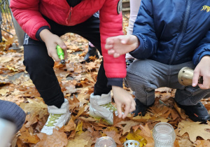 „Jesień jest piękna”- wycieczka do parku- grupa VI