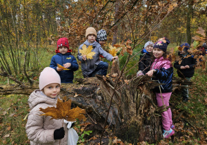 „Jesień jest piękna”- wycieczka do parku- grupa VI