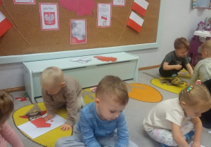 Projekt edukacyjny "Polska- mój dom"