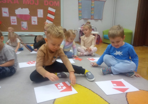 Projekt edukacyjny "Polska- mój dom"