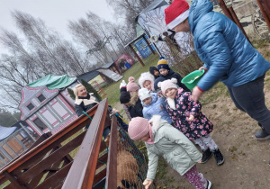 Z wizytą w Malinowej Krainie grupy II i IV