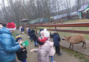 Z wizytą w Malinowej Krainie grupy II i IV