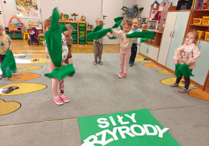 Projekt edukacyjny "Siły Przyrody"