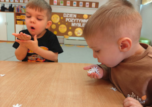 Projekt edukacyjny "Siły Przyrody"