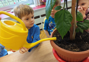 Projekt edukacyjny "Siły Przyrody"