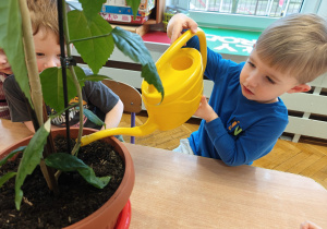 Projekt edukacyjny "Siły Przyrody"