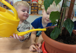 Projekt edukacyjny "Siły Przyrody"