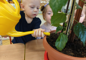 Projekt edukacyjny "Siły Przyrody"