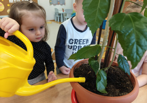 Projekt edukacyjny "Siły Przyrody"