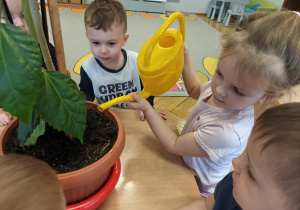 Projekt edukacyjny "Siły Przyrody"