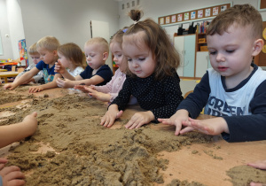 Projekt edukacyjny "Siły Przyrody"