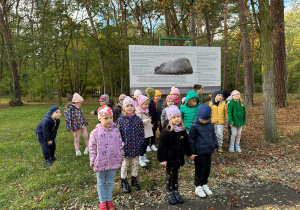 Projekt w grupie II "20 kroków do zimy"