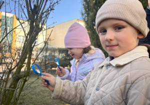 Zdjęcie 13 na 115
