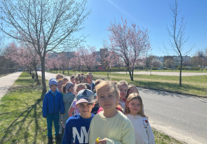 Zdjęcie 100 na 115