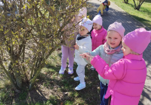 Małe smyki z grupy X w świecie przyrodniczej sensoryki – projekt edukacyjny cz. III .... WIOSNA