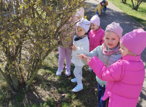 Małe smyki z grupy X w świecie przyrodniczej sensoryki – projekt edukacyjny cz. III .... WIOSNA .