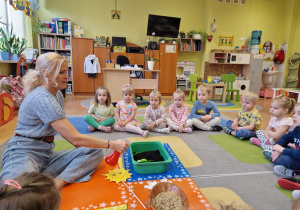 Małe smyki z grupy X w świecie przyrodniczej sensoryki – projekt edukacyjny cz. III .... WIOSNA