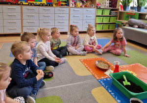 Małe smyki z grupy X w świecie przyrodniczej sensoryki – projekt edukacyjny cz. III .... WIOSNA