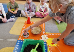 Małe smyki z grupy X w świecie przyrodniczej sensoryki – projekt edukacyjny cz. III .... WIOSNA