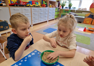 Małe smyki z grupy X w świecie przyrodniczej sensoryki – projekt edukacyjny cz. III .... WIOSNA