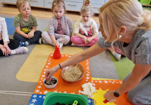Małe smyki z grupy X w świecie przyrodniczej sensoryki – projekt edukacyjny cz. III .... WIOSNA