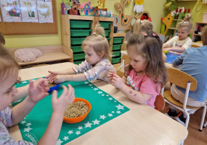 Małe smyki z grupy X w świecie przyrodniczej sensoryki – projekt edukacyjny cz. III .... WIOSNA