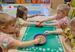Małe smyki z grupy X w świecie przyrodniczej sensoryki – projekt edukacyjny cz. III .... WIOSNA