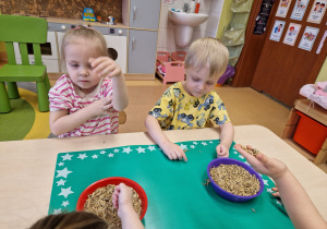 Małe smyki z grupy X w świecie przyrodniczej sensoryki – projekt edukacyjny cz. III .... WIOSNA